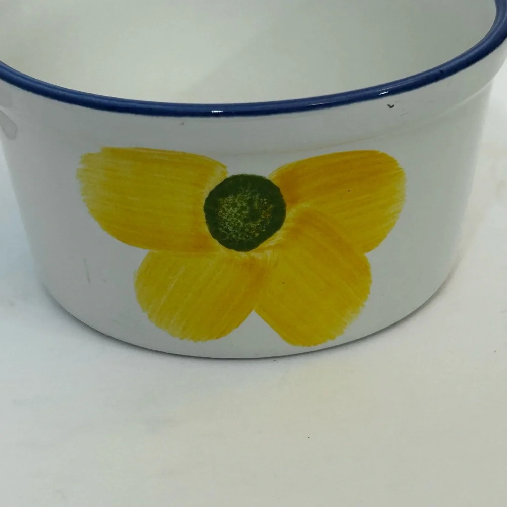 Maxam Ramekins Small Baking Dishes Microwave and Oven Safe Hand Painted Portugal